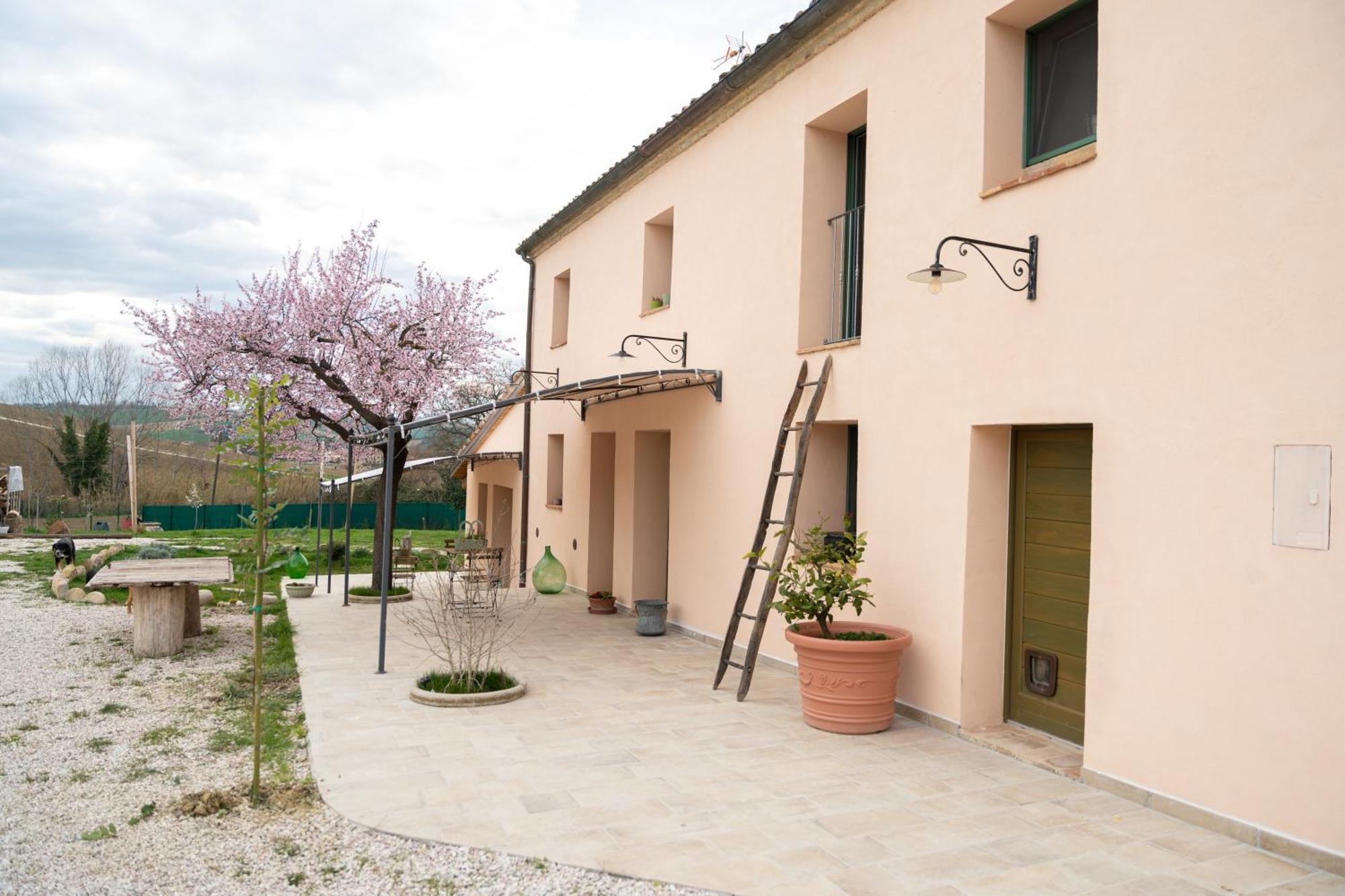 B&B Le Rondini Ostra Senigallia Casine  Exterior photo